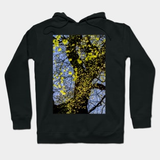 Sunlit Beech Leaves Hoodie